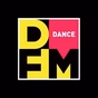 DFM Biysk logo