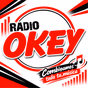 Radio Okey 91.9 logo