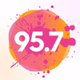 Fidelity 95.7 FM - WFDT logo
