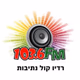רדיו קול נתיבות logo