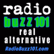 Radio Buzz 101 logo