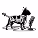 Radio Bull Terrier logo