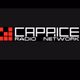 Radio Caprice - Southern Rock logo