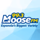 99.3 Moose FM - CJJM-FM logo
