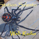 Radio Pizzica Station Salento logo