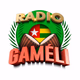 Radio Gameli logo