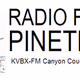Radio PineTree logo